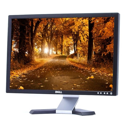 Dell E228WFP