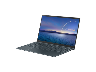 Asus ZenBook 14 UX425