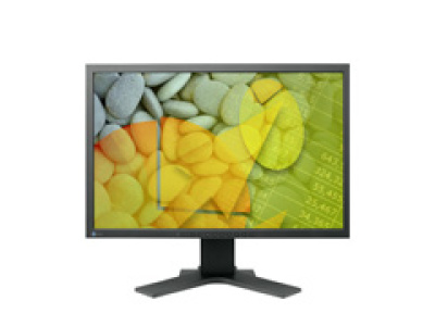 EIZO FlexScan S2202W