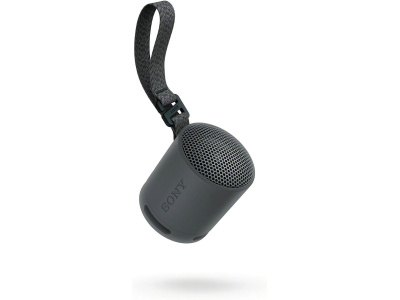 Sony SRS-XB100